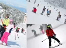 Uludağ'da Tatil: Doğayla İç İçe Bir Kaçış