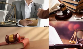 Enerji Hukuku Davalarının Önemi