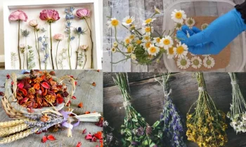 Kuru Çiçeklerin Estetik ve Zamansız Güzelliği