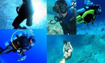 Dalış Sporu Nedir ve Dalları