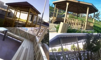 Kamelya Modelleri ile Bahçenize Estetik ve Konfor Katın