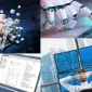İnsan Kaynakları Süreçlerinde Eğitim ve Gelişim Programlarının Rolü Nedir?